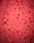 YumCars Foam+ - Advanced Ceramic Sealant 500ml