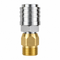 CA Detailing M22 14mm to 3/8 inch automatic quick connect adaptor, brass and stainless steel