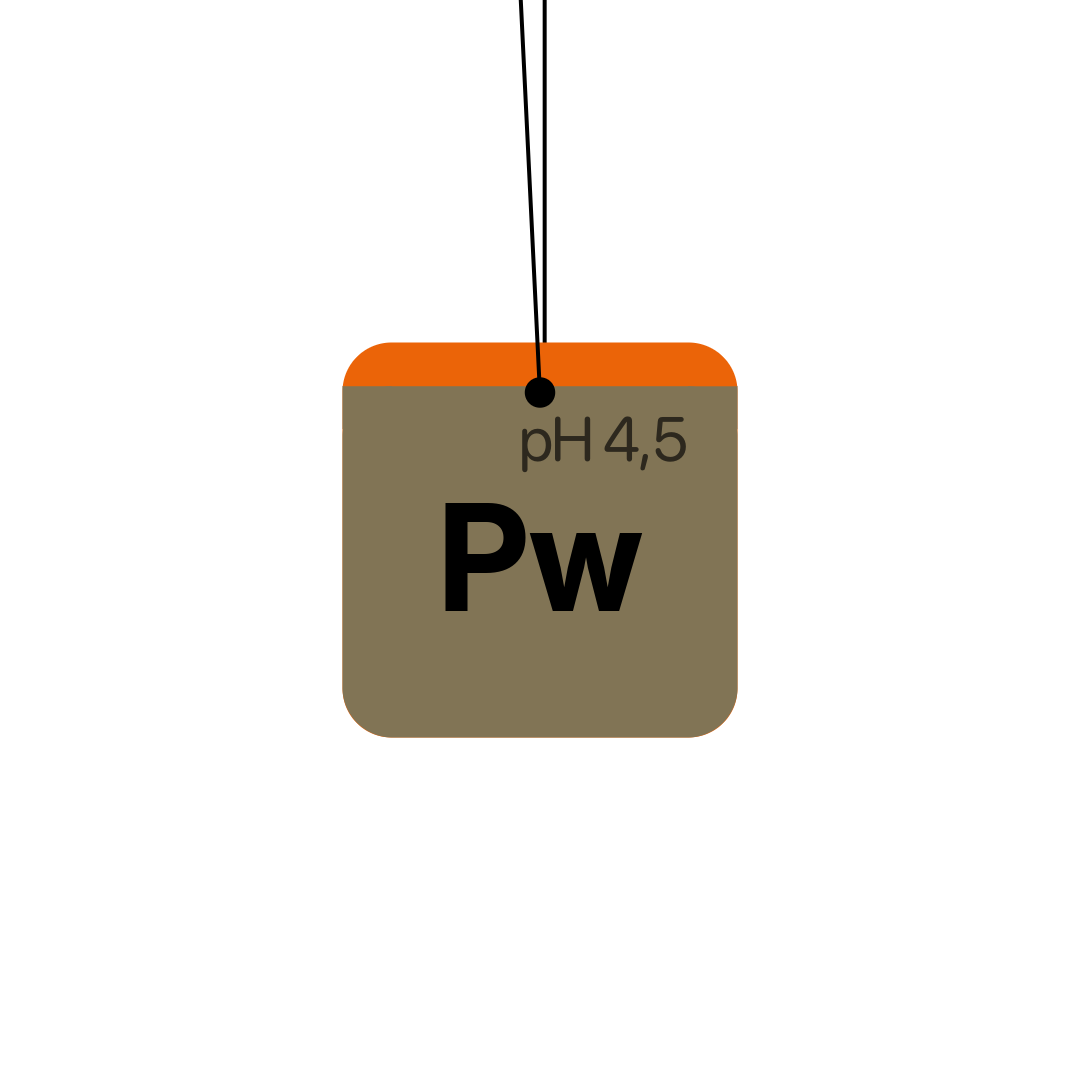 Koch Chemie PW Cherry scent hanger car air freshener - front