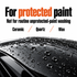 ADBL Shampoo Be Acid - pH Acid Maintenance Shampoo — Is it for protected paint?