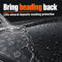 ADBL Shampoo Be Acid - pH Acid Maintenance Shampoo — Why has beading faded?