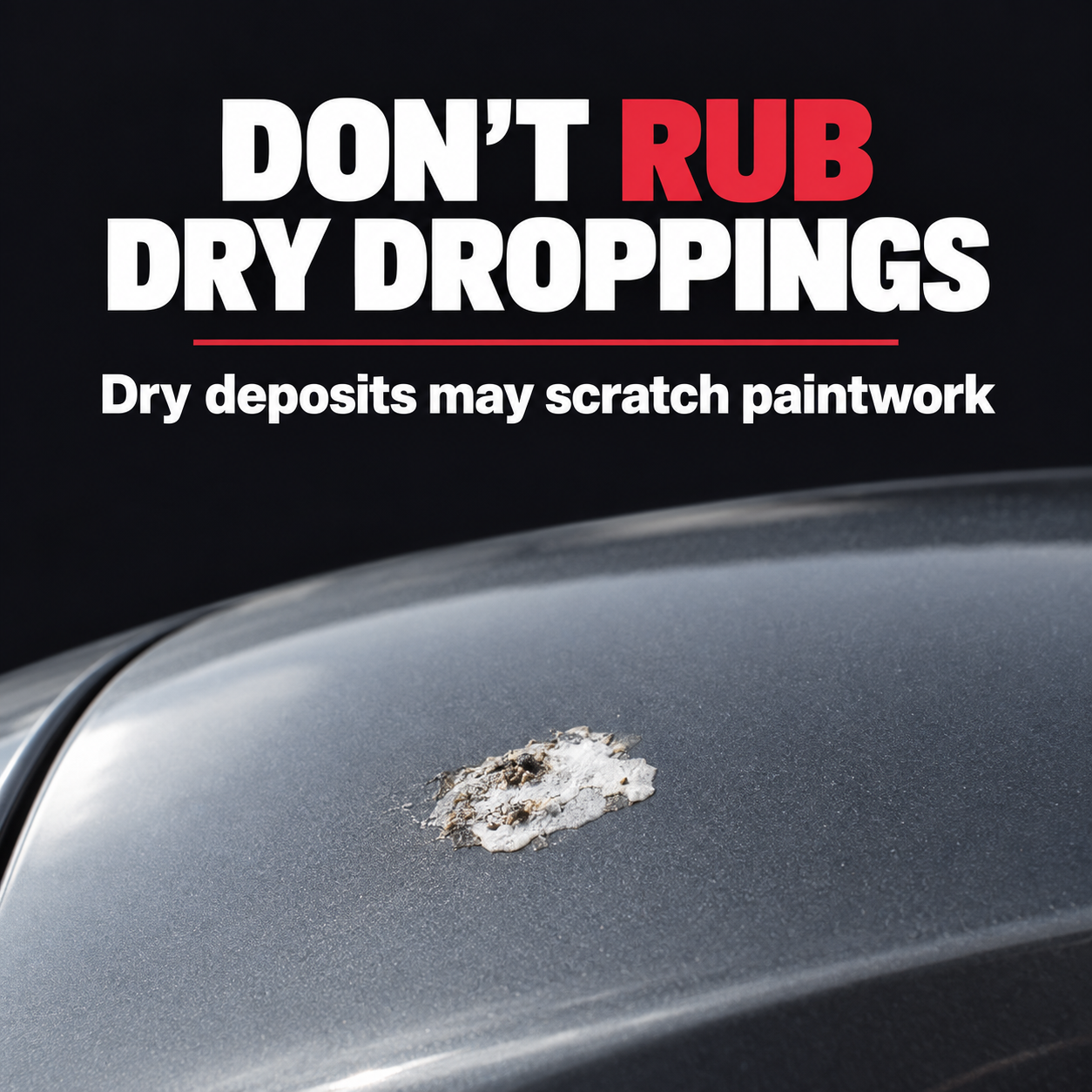 Autoglym Bird Dropping Wipes — What should I avoid?