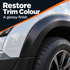 CarPro CQuartz Dlux - Plastic, Rubber & Wheel Coating Kit - 1 Year — What finish will I see?