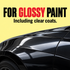 DIY Detail Gold Standard Polish — Is it suitable for my paint?