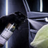 CarPro InnerQD in use