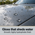 Koch Chemie Wg WetGloss Wet Sealant — What finish does it leave?