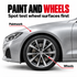 P&S Iron Buster Wheel & Paint Iron Remover — Where can I apply it?