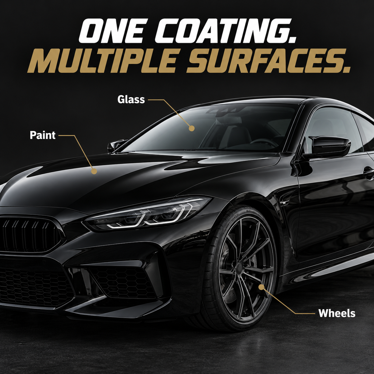 Performance PPL Reign Ceramic Coating - 7 Years — Which surfaces can I protect?