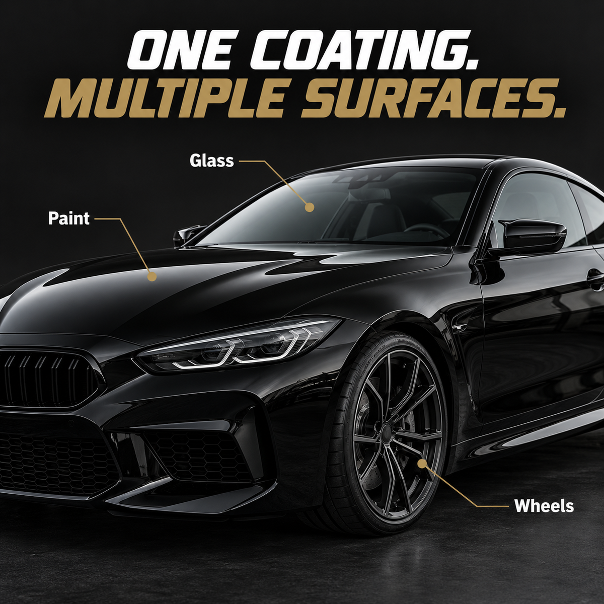 Performance PPL Reign Ceramic Coating - 7 Years — Which surfaces can I protect?