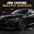 Performance PPL Reign Ceramic Coating - 7 Years — Which surfaces can I protect?