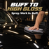 Performance PPL Use Protection Ceramic Detailer 500ml — What finish can I achieve?