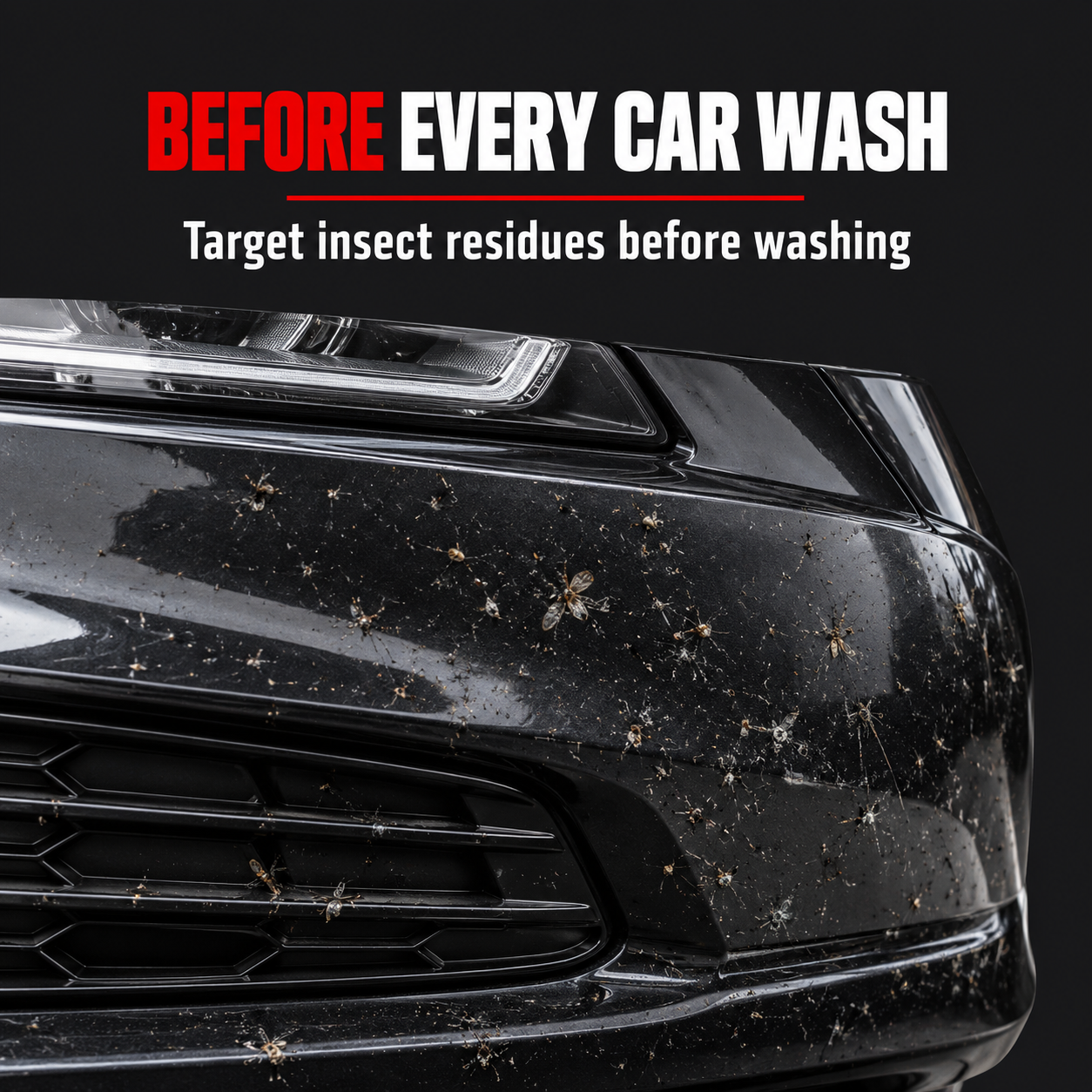 Sonax Insect Star — When should I use it?