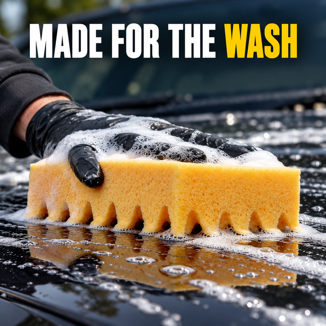 Sponge Guru - Ultimate Profile Sponge — Can I picture using it?