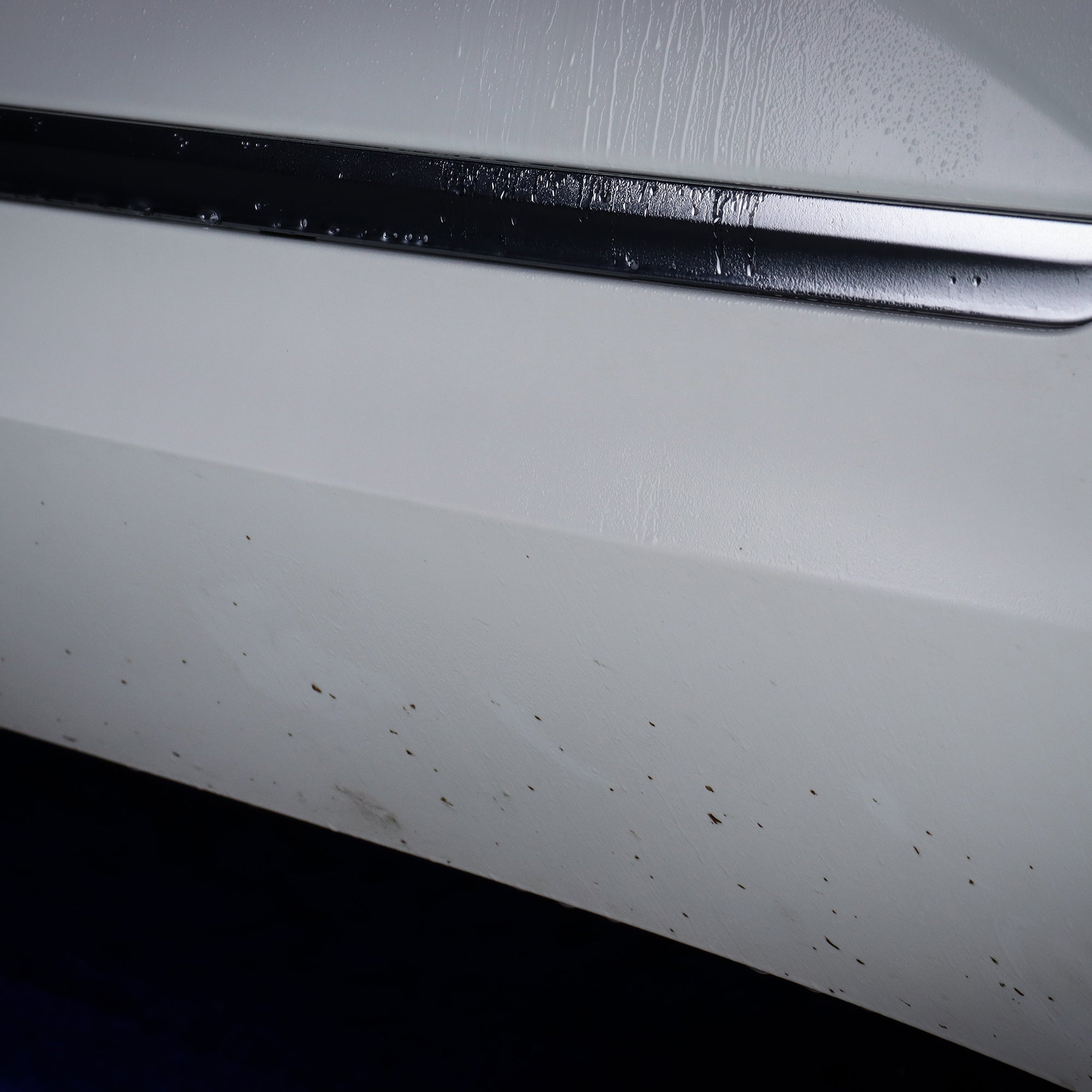 CarPro TarX in use