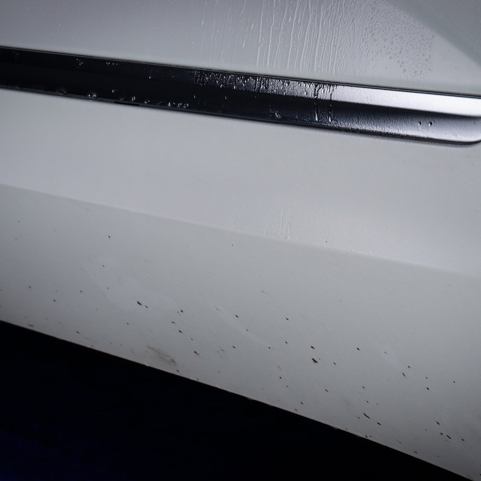 CarPro TarX in use